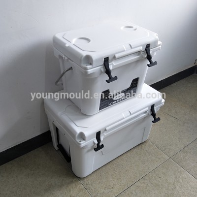 Hot Selling biologic products; ice chest radio